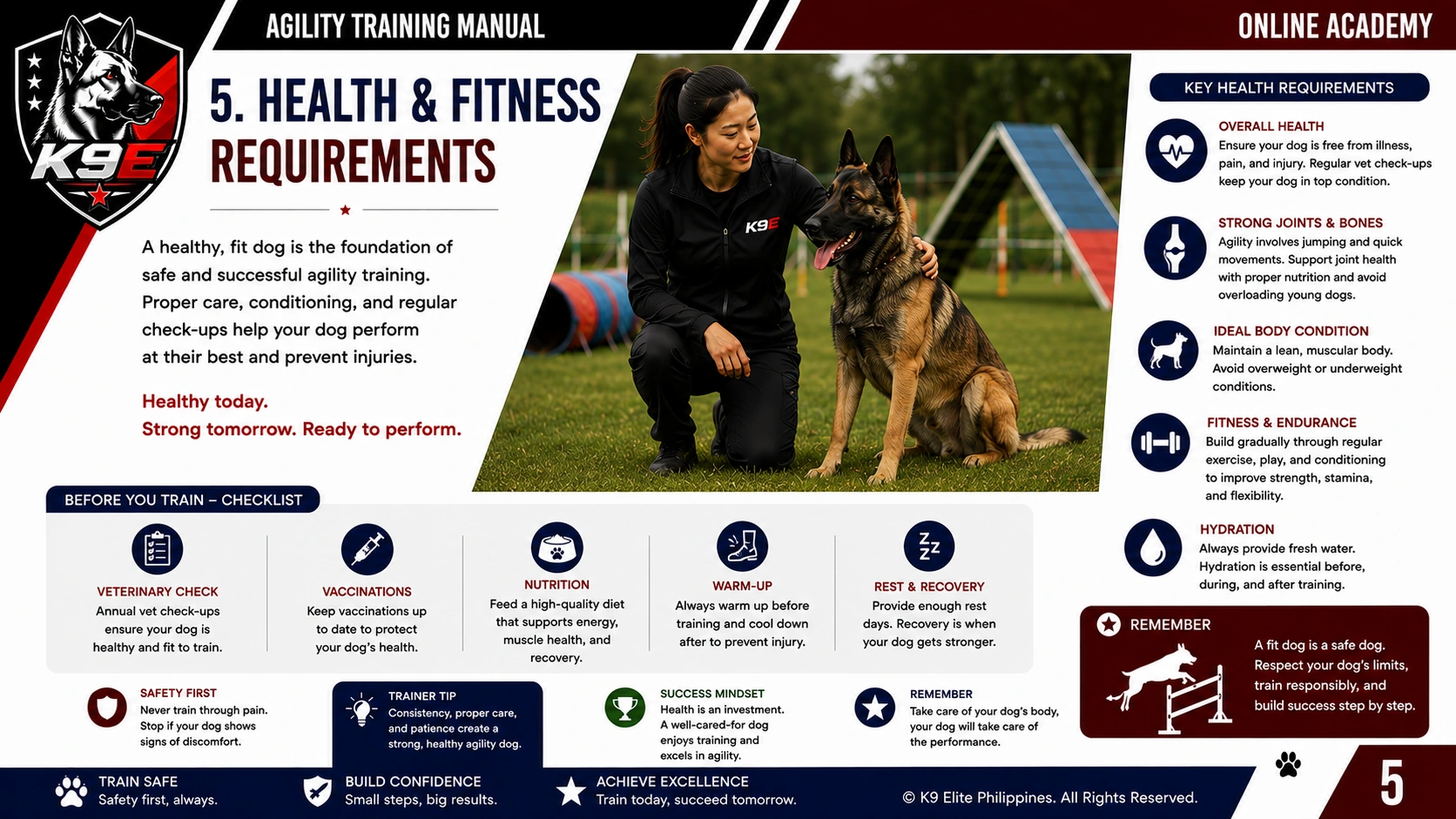 Agility Training training
